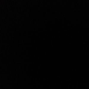 Meet your Posher, Lexi